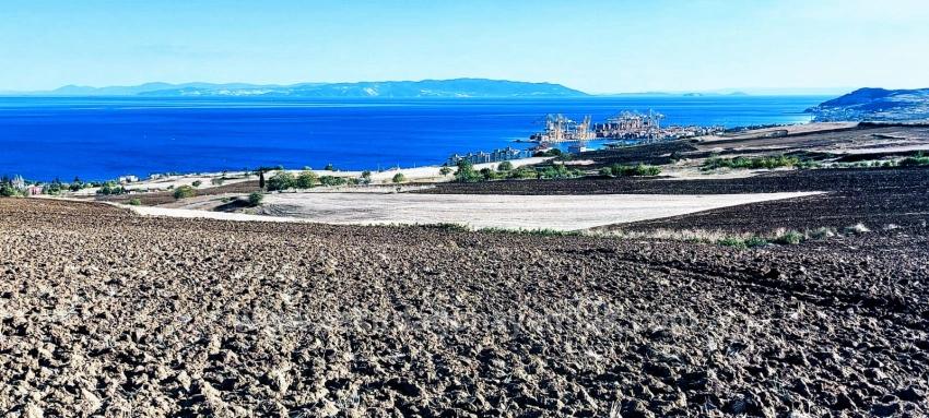 Bargain Coupon Land With Full Sea And Nature View Is Very Affordable Compared To Its Comparables