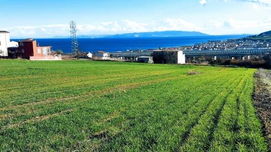 A Great Opportunity For Those Looking To Buy Or Sell A Property With Full Sea And Nature Views, Located 1 Km From Kumbağa.