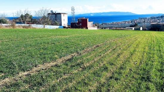 A Great Opportunity For Those Looking To Buy Or Sell A Property With Full Sea And Nature Views, Located 1 Km From Kumbağa.