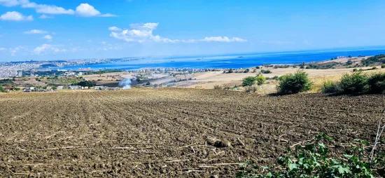 Tekirdağ Barbarostadeniz Nature And City View 405 M2 Villa Zoned Land Bargain Opportunity