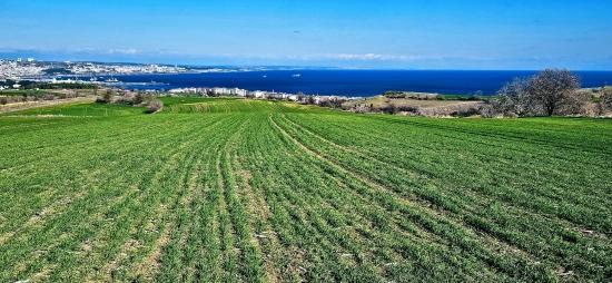 Land With Full Sea And Nature View Suitable For 75 Villa Projects In Tekirdağ Barbarosta
