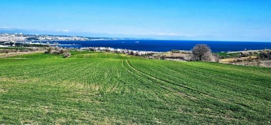 Land With Full Sea And Nature View Suitable For 75 Villa Projects In Tekirdağ Barbarosta