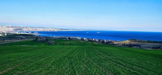 Land With Full Sea And Nature View Suitable For 75 Villa Projects In Tekirdağ Barbarosta