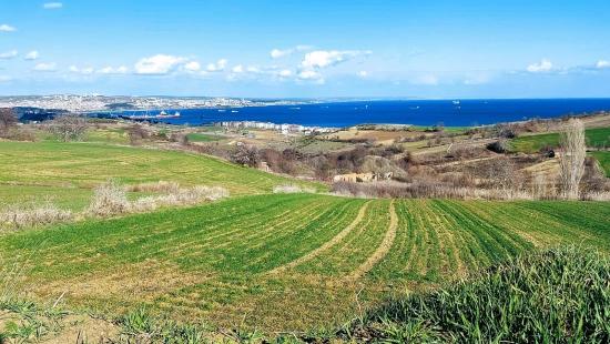 Land Suitable For 8 Villa Projects With Full Sea And Nature Views In Tekirdağ Barbarosta