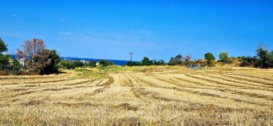 615 M2 Bargain Corner Plot Close To Asyaport