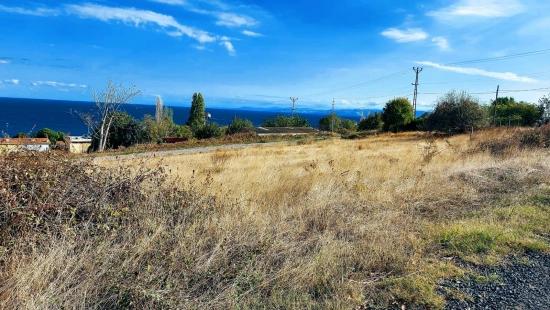 Triplexs Land Is A Great Opportunity For Those Who Want To Build A Detached House With Small Capital