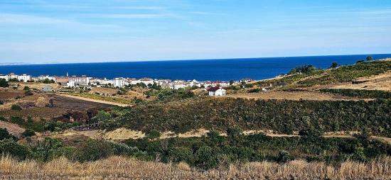 Bargain 1,150 M2 Land With Full Sea View In Tekirdağ Topağaç Neighborhood