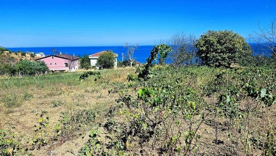 Tekirdağ Barbarosta 4 Sides Road Facade Infrastructure Ready Cooperative And Place Suitable For Site Construction