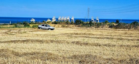 **very Close to the asyaport Port Urgent Residentially Zoned Land for Sale**