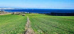 Terrain For Sale in Barbaros Nbh. Süleymanpaşa Kumbağ - Housing Zoned - 34.500 m²