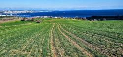 Land With Full Sea And Nature View Suitable For 75 Villa Projects In Tekirdağ Barbarosta