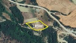 Field For Sale in Avşar Nbh. Süleymanpaşa - Field Zoned - 2.850 m²