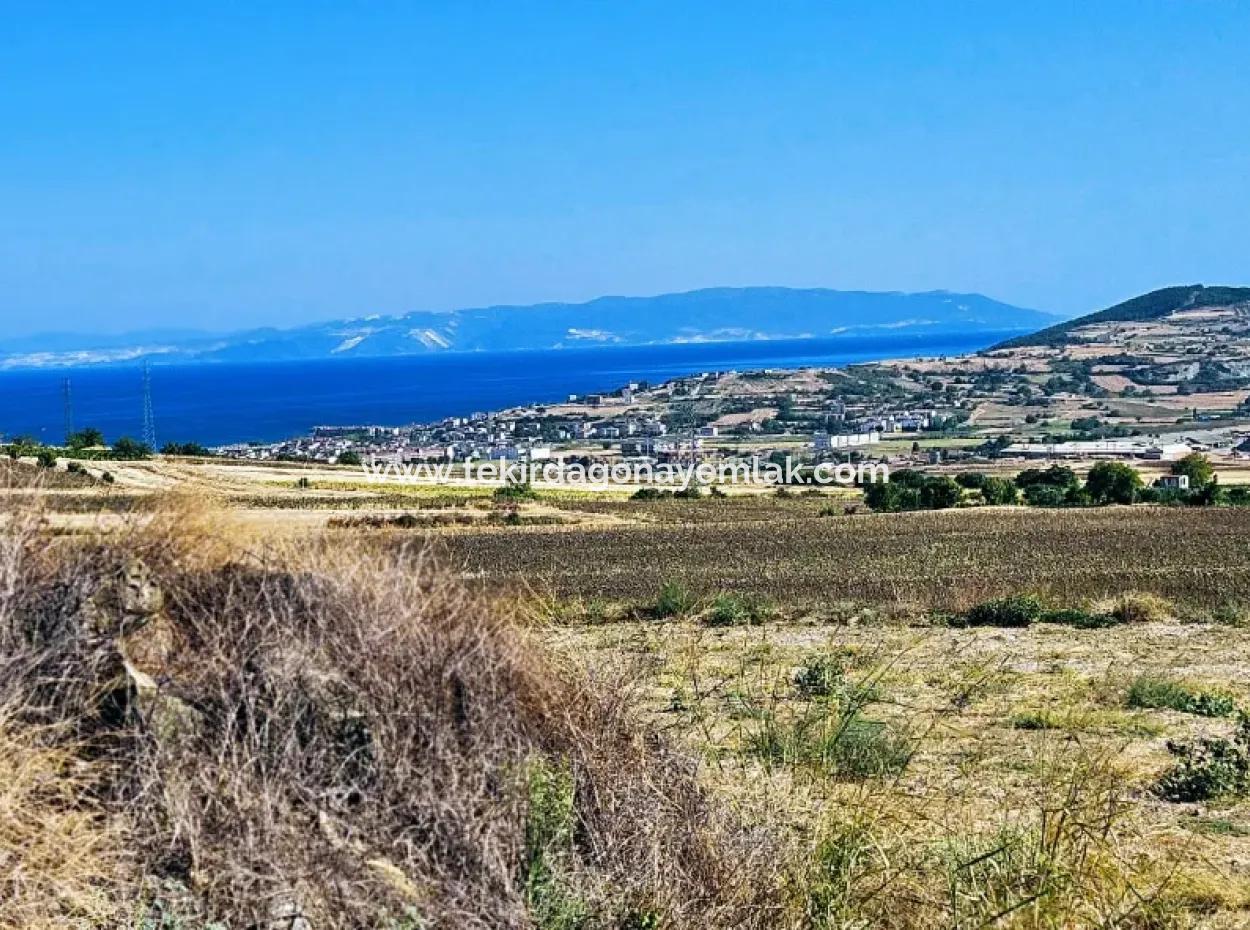 Asyaport Port Is Within The Current Zoning Plan ( Commercial