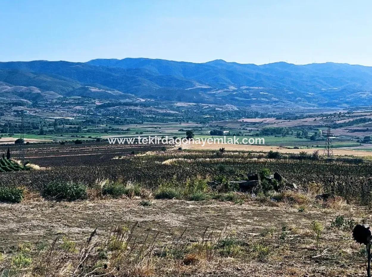 Asyaport Port Is Within The Current Zoning Plan ( Commercial