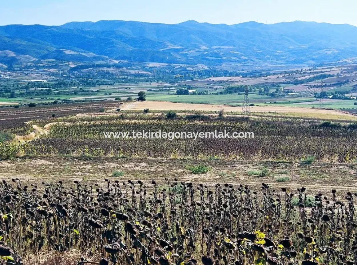 Asyaport Port Is Within The Current Zoning Plan ( Commercial