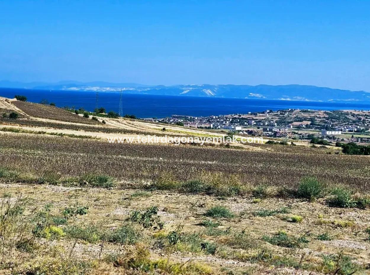 Asyaport Port Is Within The Current Zoning Plan ( Commercial