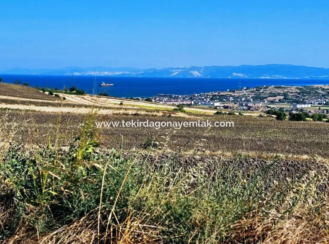 Asyaport Port Is Within The Current Zoning Plan ( Commercial