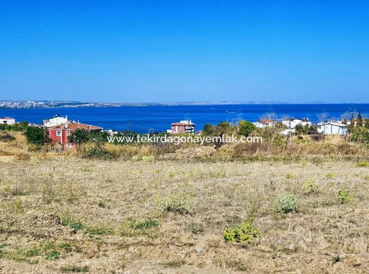 Coupon Land Suitable For Building A Detached House With Full Sea View For Urgent Sale In Tekirdag Barbarosta