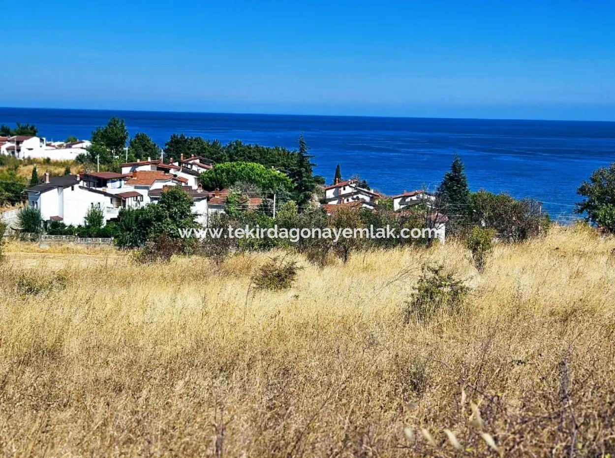 Coupon Land Suitable For Building A Detached House With Full Sea View For Urgent Sale In Tekirdag Barbarosta