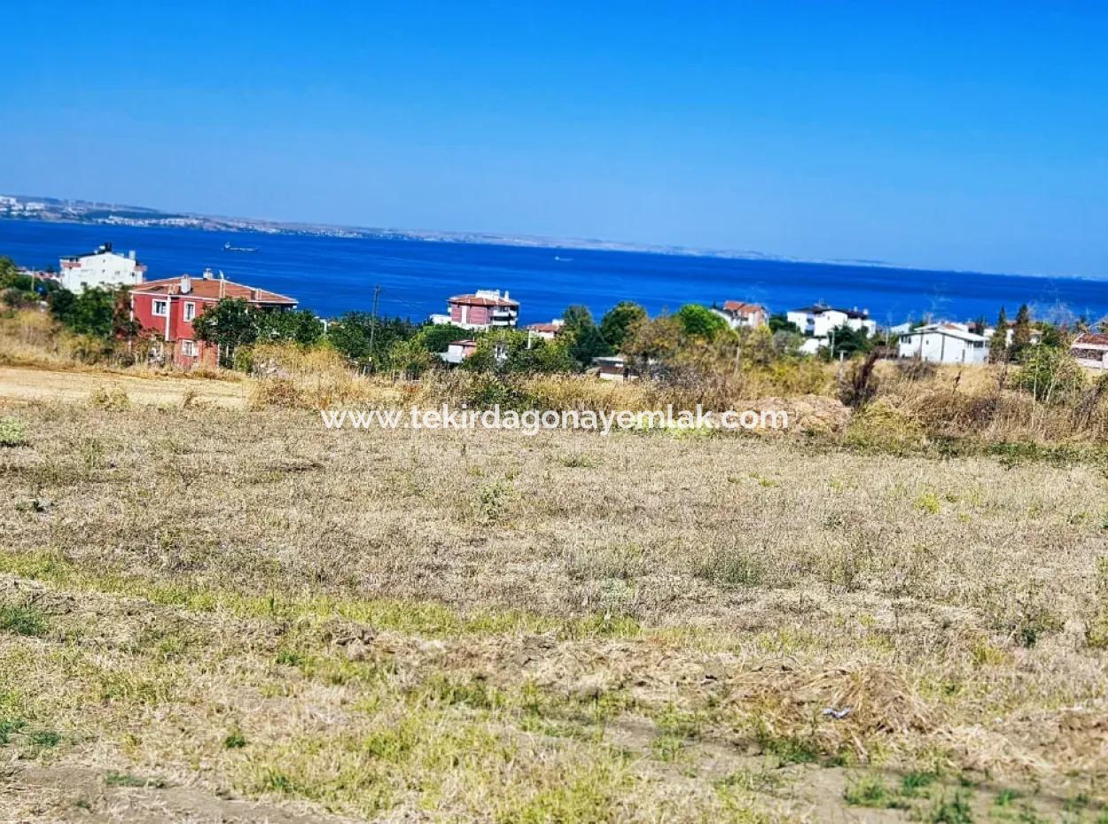 Coupon Land Suitable For Building A Detached House With Full Sea View For Urgent Sale In Tekirdag Barbarosta