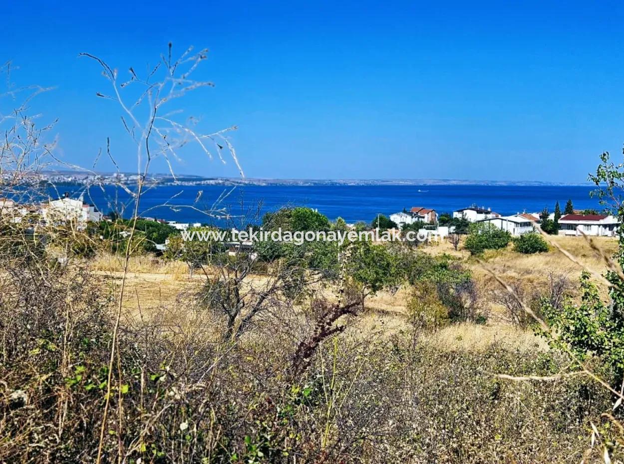 Coupon Land Suitable For Building A Detached House With Full Sea View For Urgent Sale In Tekirdag Barbarosta