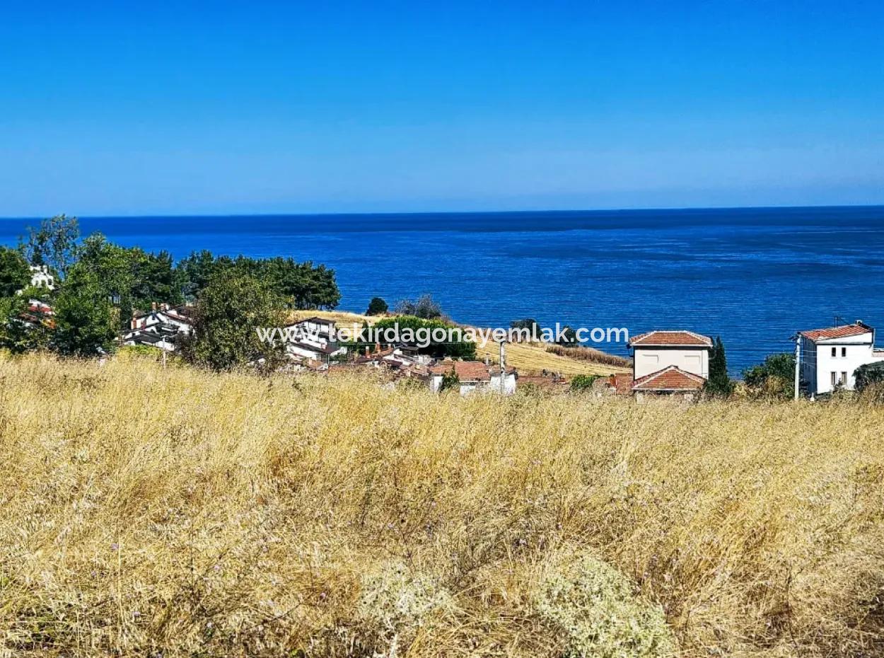 Coupon Land Suitable For Building A Detached House With Full Sea View For Urgent Sale In Tekirdag Barbarosta