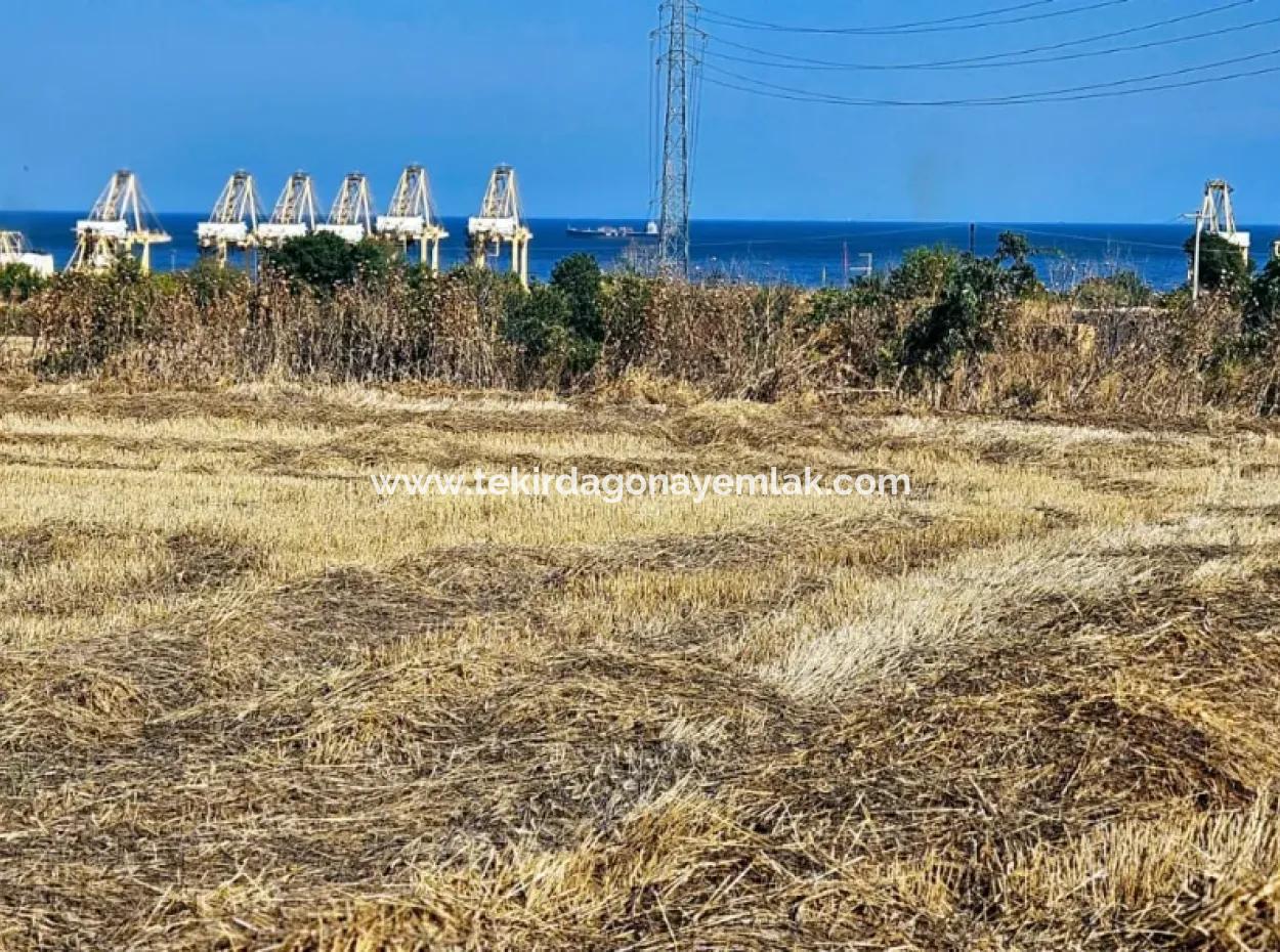 8.500 M2 Residential Zoned Coupon Field For Urgent Sale Close To Asyaport Port