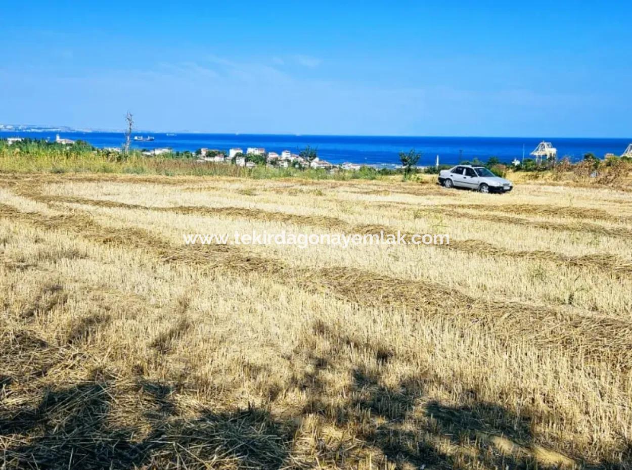 8.500 M2 Residential Zoned Coupon Field For Urgent Sale Close To Asyaport Port