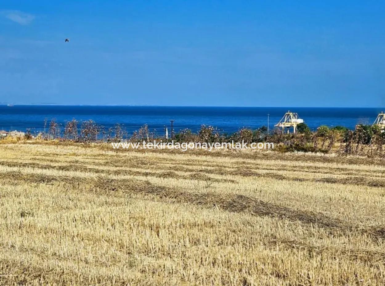 4.150 M2 Residential Zoned Field For Urgent Sale Just 1 Km From Asyaport Port