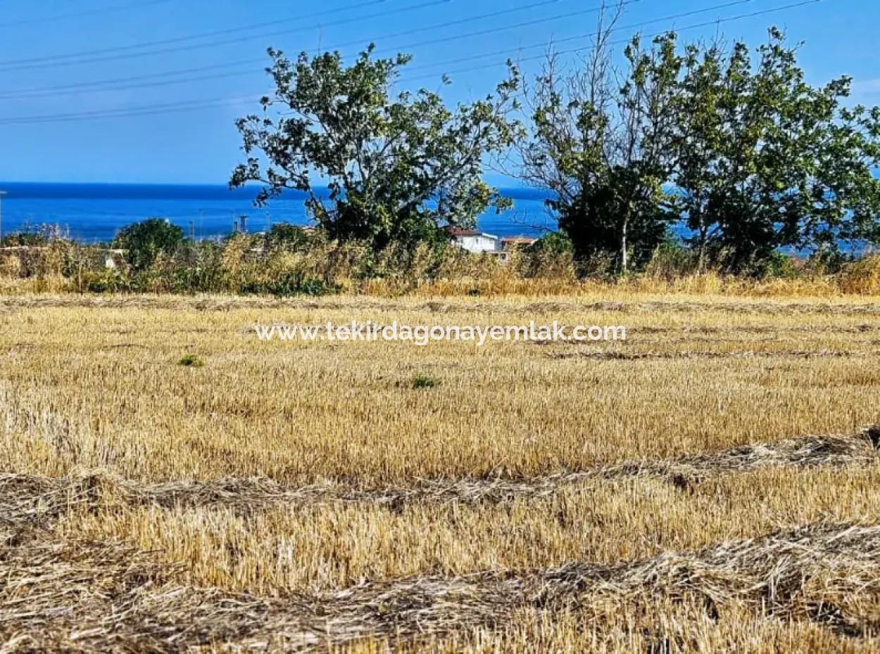 4.150 M2 Residential Zoned Field For Urgent Sale Just 1 Km From Asyaport Port