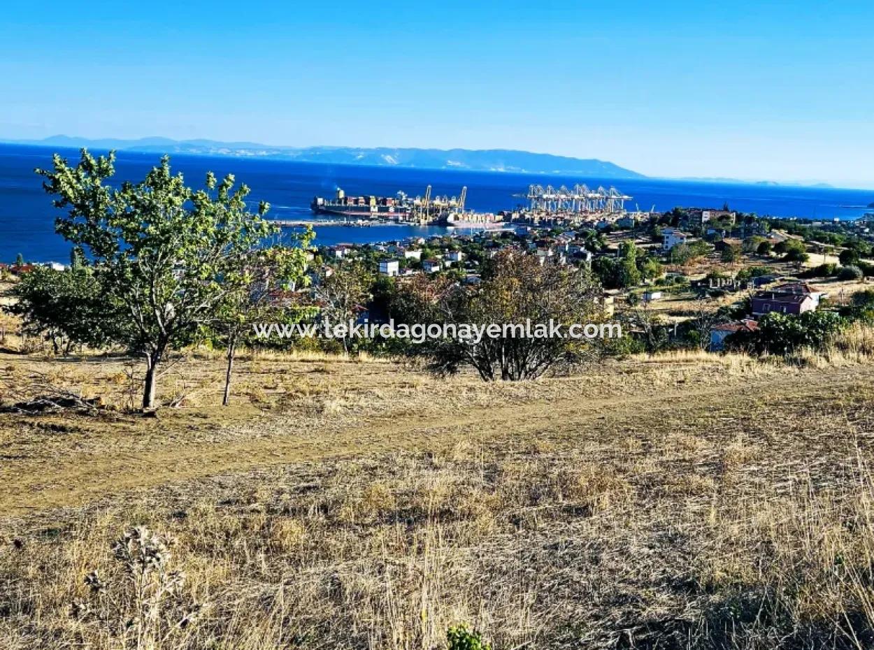 532 M2 Corner Plot For Sale In Tekirdag Süleymanpaşa Barbaros Neighborhood With Magnificent Sea And Nature Views