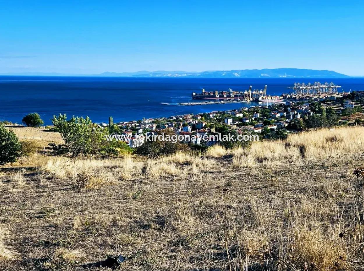 532 M2 Corner Plot For Sale In Tekirdag Süleymanpaşa Barbaros Neighborhood With Magnificent Sea And Nature Views