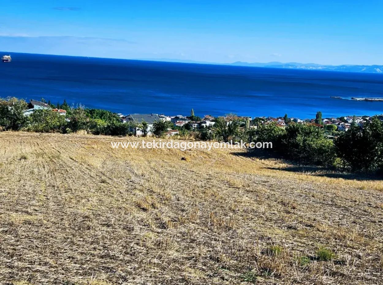 25 Flats With Full Sea View Coupon Place For Urgent Sale In Tekirdag Barbarosta