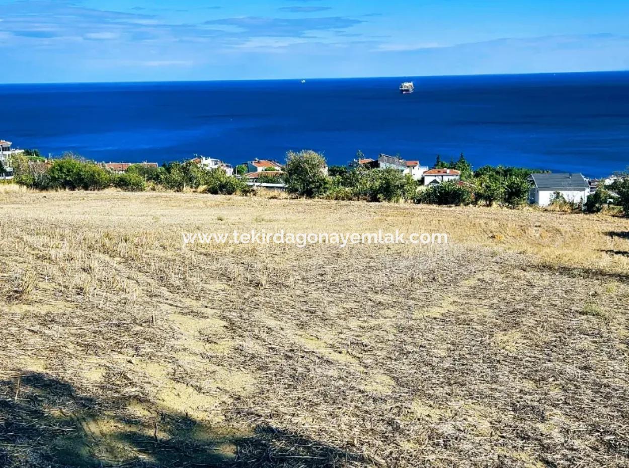 25 Flats With Full Sea View Coupon Place For Urgent Sale In Tekirdag Barbarosta