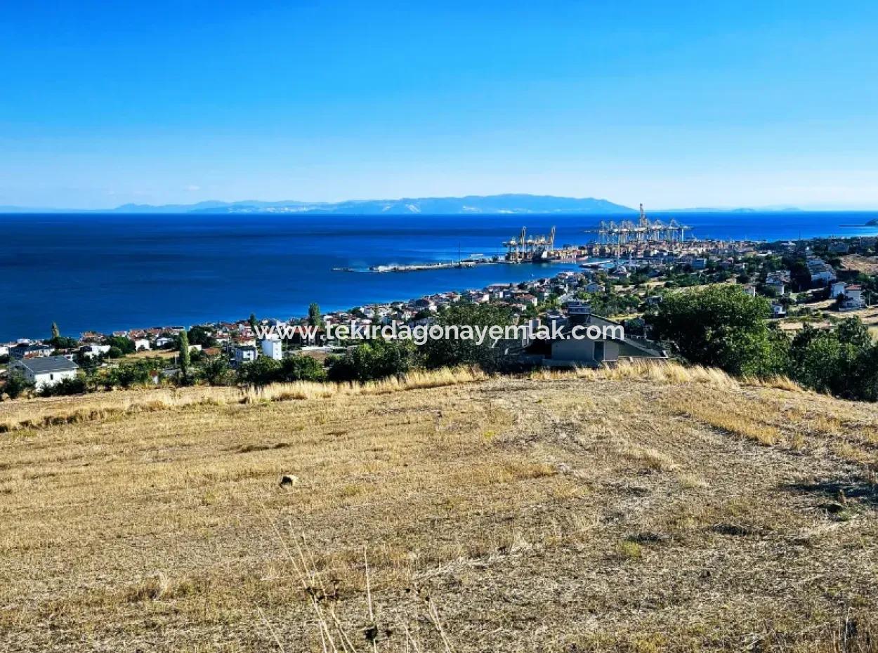 25 Flats With Full Sea View Coupon Place For Urgent Sale In Tekirdag Barbarosta