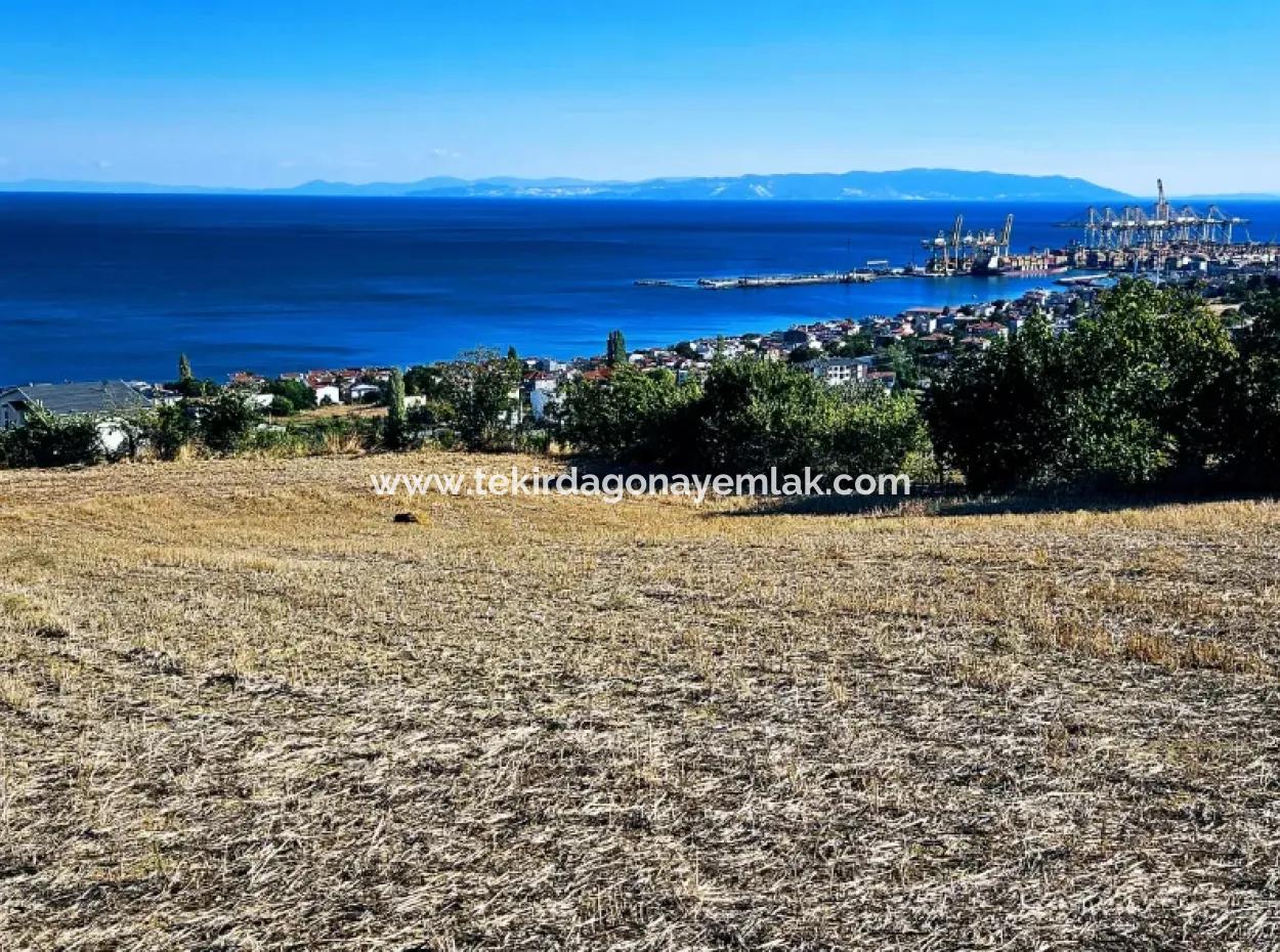 25 Flats With Full Sea View Coupon Place For Urgent Sale In Tekirdag Barbarosta