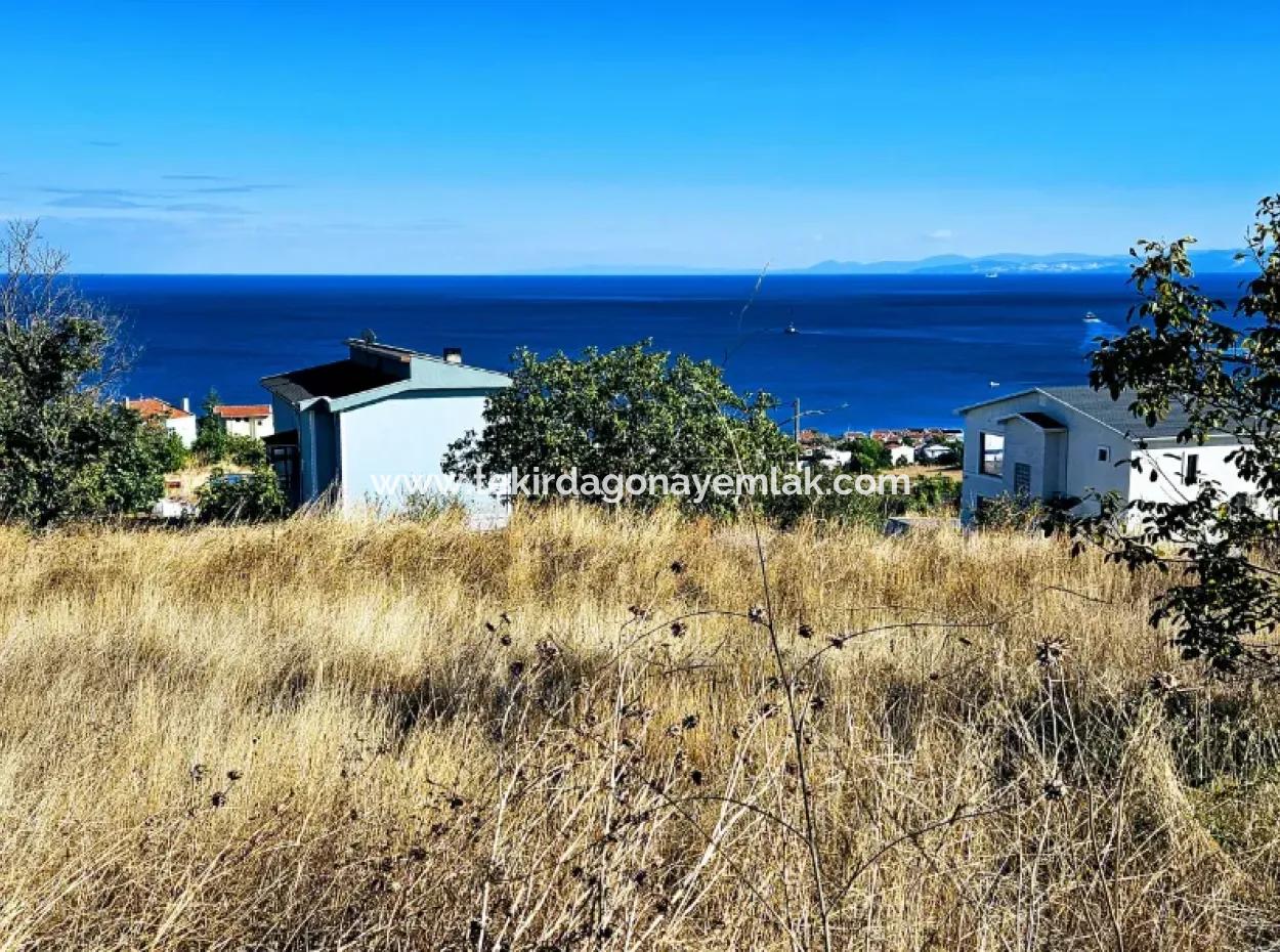 25 Flats With Full Sea View Coupon Place For Urgent Sale In Tekirdag Barbarosta