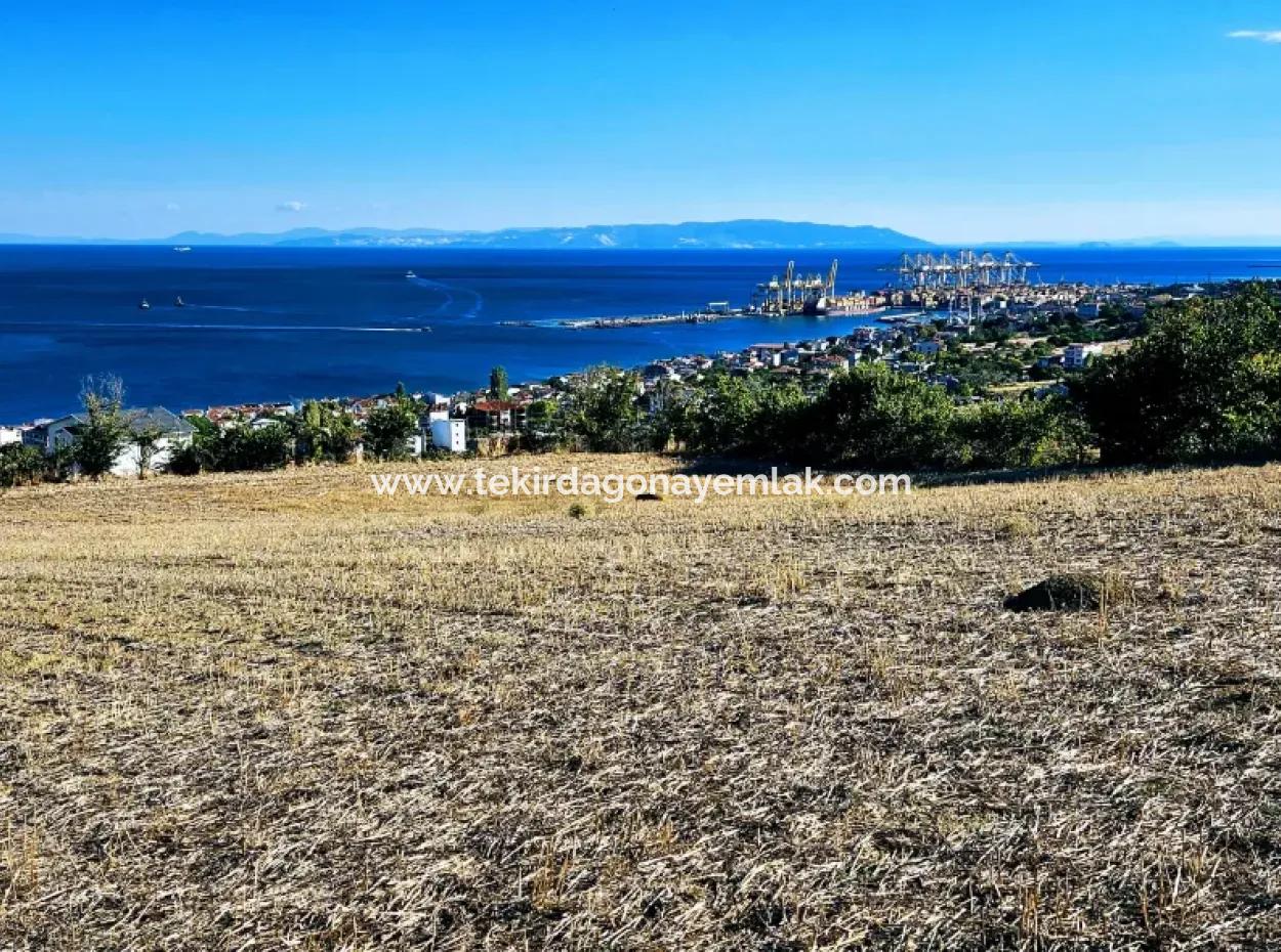 25 Flats With Full Sea View Coupon Place For Urgent Sale In Tekirdag Barbarosta