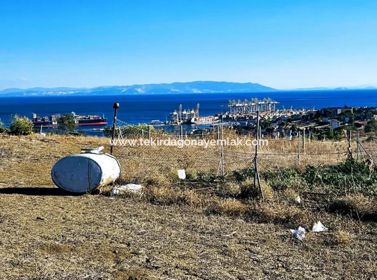 765 M2 Bargain Land With Full Sea View For Urgent Sale In Tekirdag Barbarosta