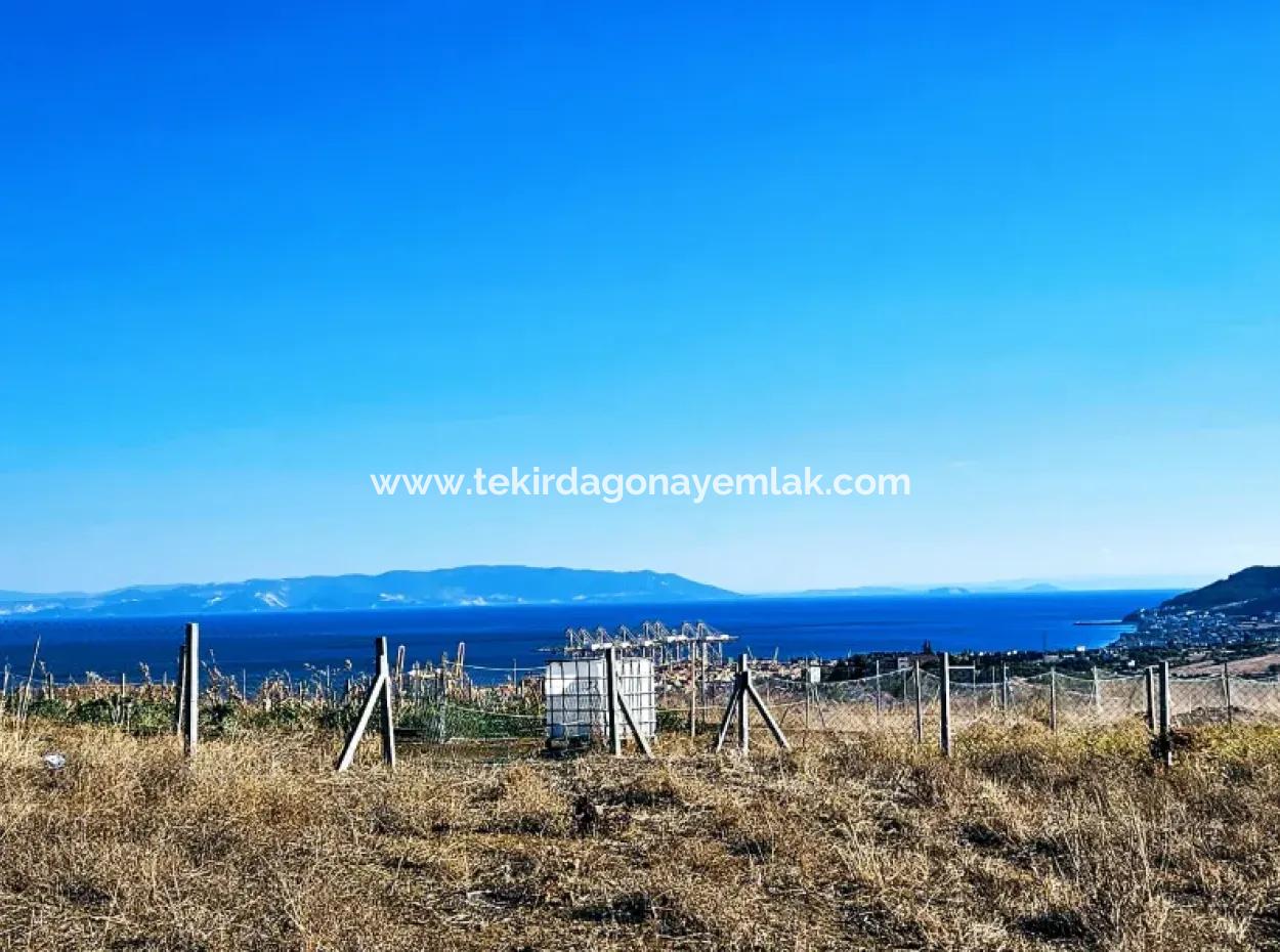 765 M2 Bargain Land With Full Sea View For Urgent Sale In Tekirdag Barbarosta