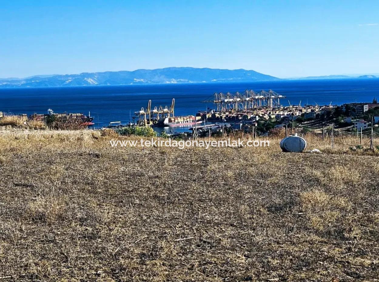 765 M2 Bargain Land With Full Sea View For Urgent Sale In Tekirdag Barbarosta