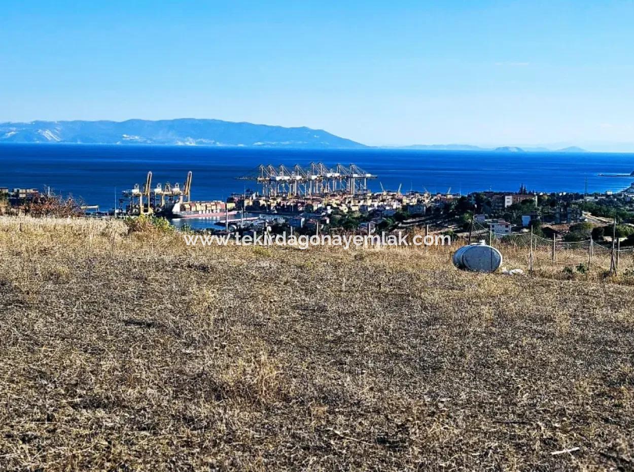 765 M2 Bargain Land With Full Sea View For Urgent Sale In Tekirdag Barbarosta