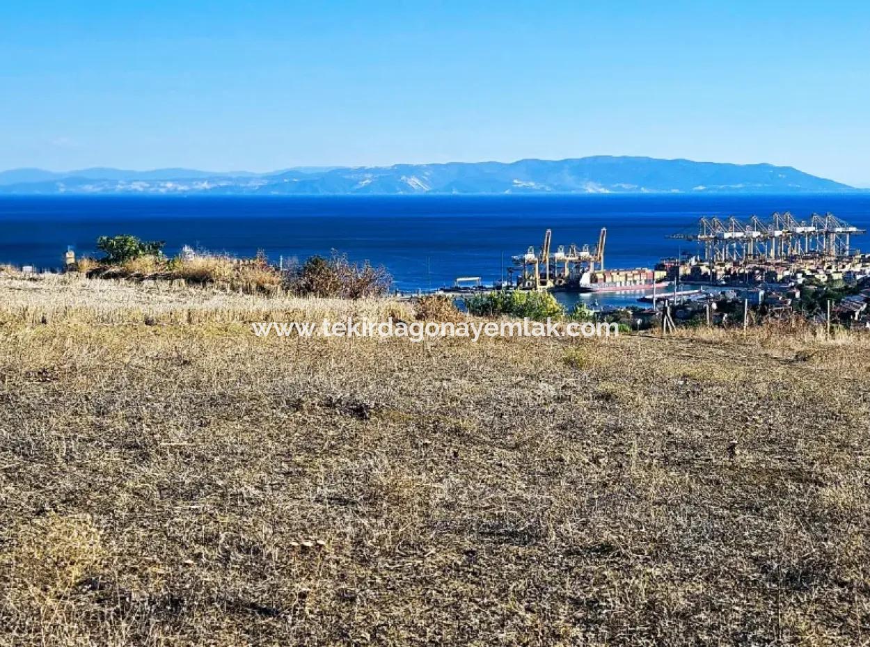 765 M2 Bargain Land With Full Sea View For Urgent Sale In Tekirdag Barbarosta
