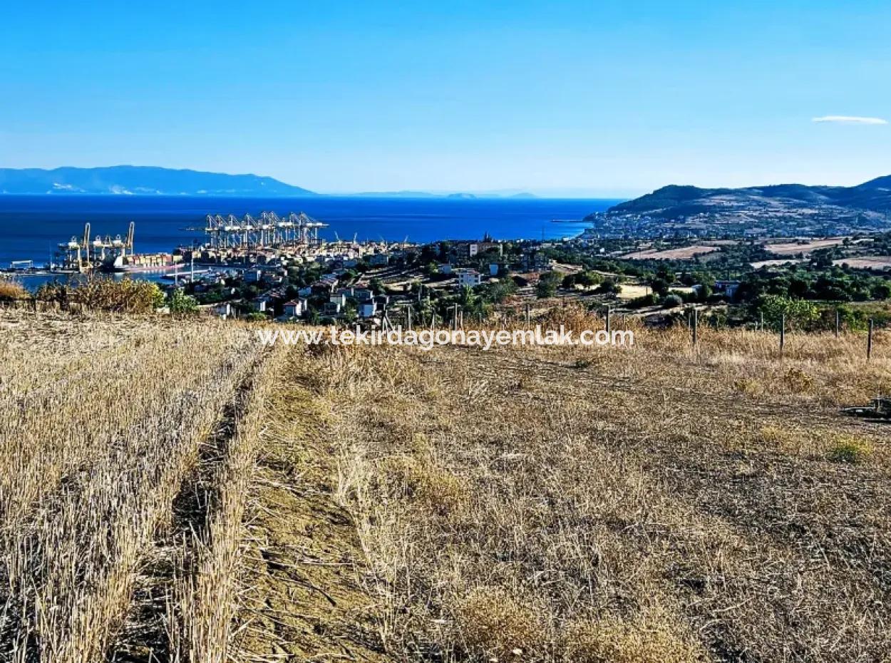 765 M2 Bargain Land With Full Sea View For Urgent Sale In Tekirdag Barbarosta