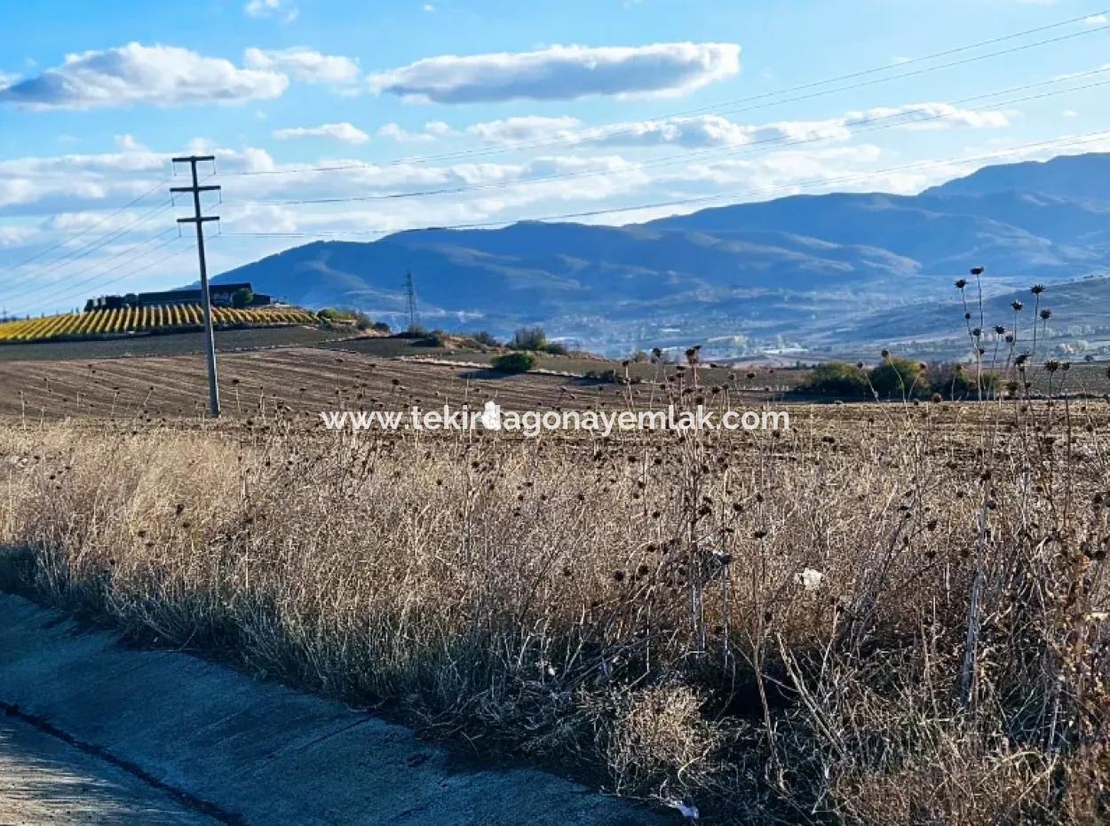 Asyaport Port Is Within The Current Zoning Plan ( Commercial