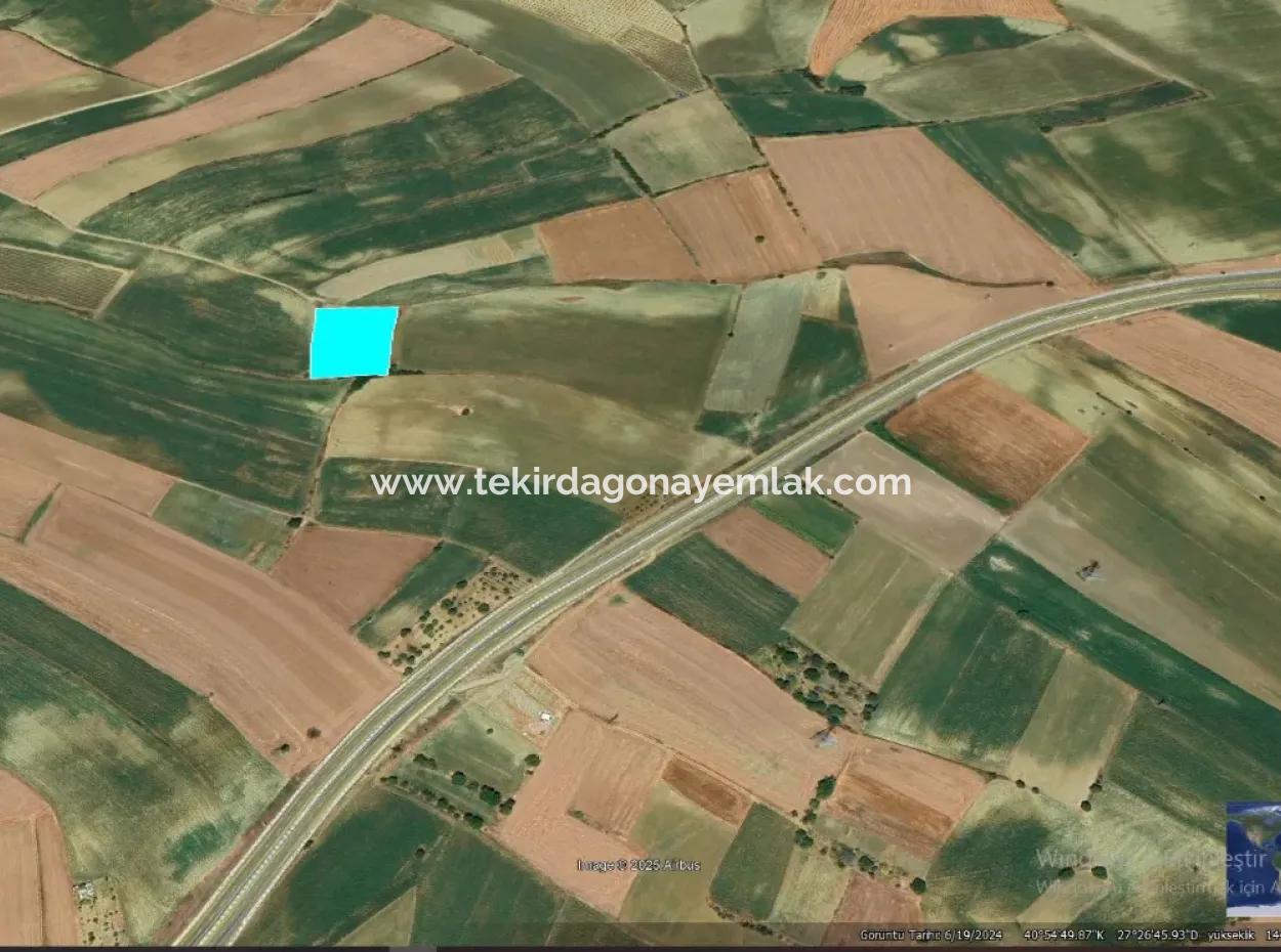 Asyaport Port Is Within The Current Zoning Plan ( Commercial