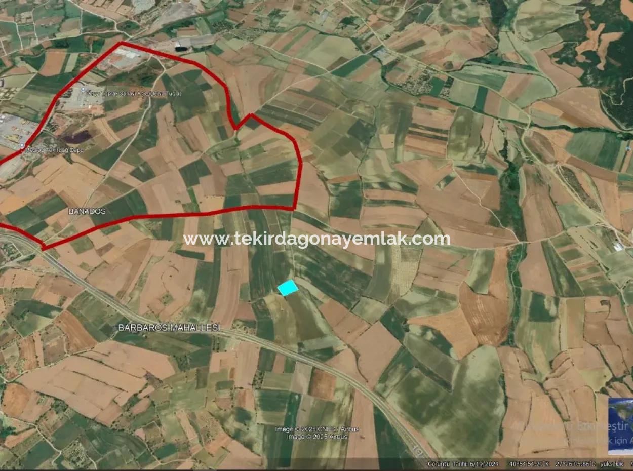 Asyaport Port Is Within The Current Zoning Plan ( Commercial