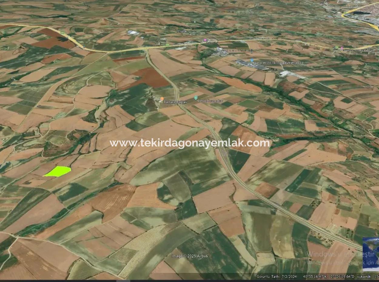 Azyaport Port Is Close To The Existing Zoning 16.100 Emergency Sale Investment Bargain Coupon Field