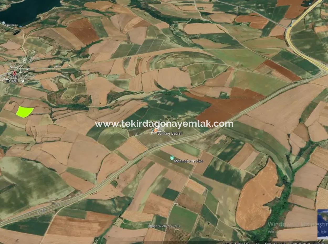 Azyaport Port Is Close To The Existing Zoning 16.100 Emergency Sale Investment Bargain Coupon Field