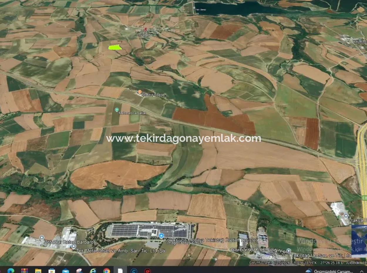 Azyaport Port Is Close To The Existing Zoning 16.100 Emergency Sale Investment Bargain Coupon Field